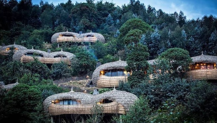 Best Eco Friendly Luxury Hotels for Sustainable Travel