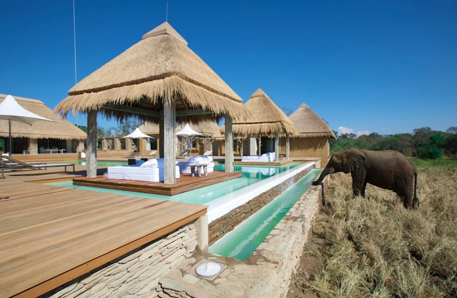 Best Hotels For Business Travelers Unveiling Top Choices